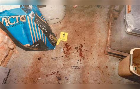 moselle crime scene photos|Alex Murdaugh Trial: Gruesome Crime Scene Photos Shown In。